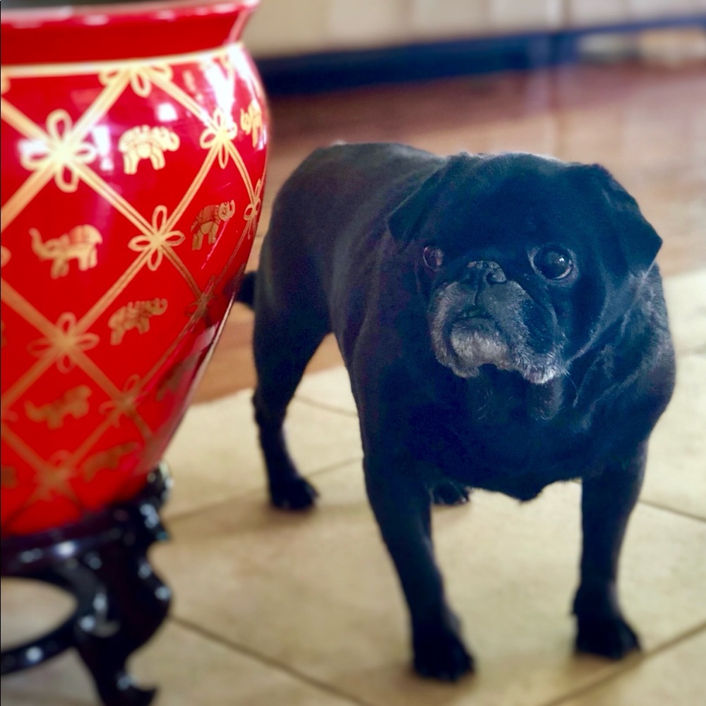 Meet your Posher, Marie